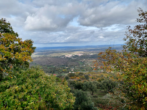 Churrasqueira da Quinta - Amieiro