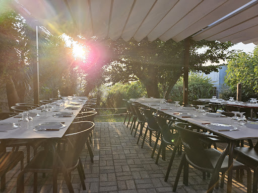 Adega Braga