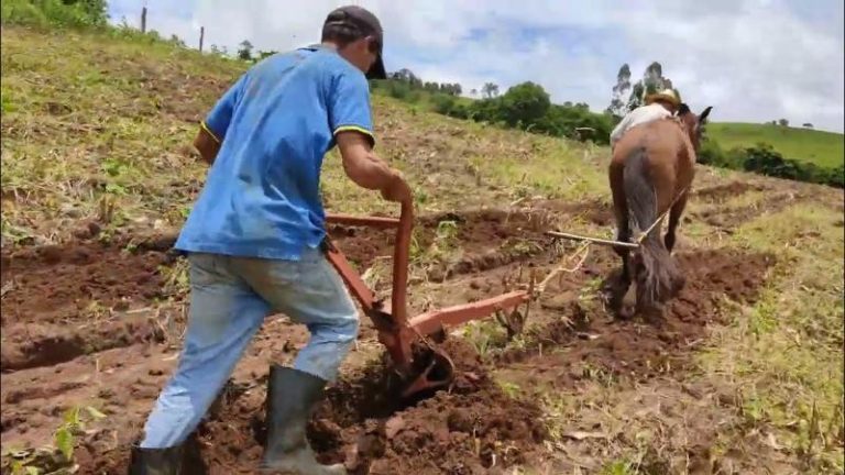 As Melhores Churrasqueira em Monção 3 Arado