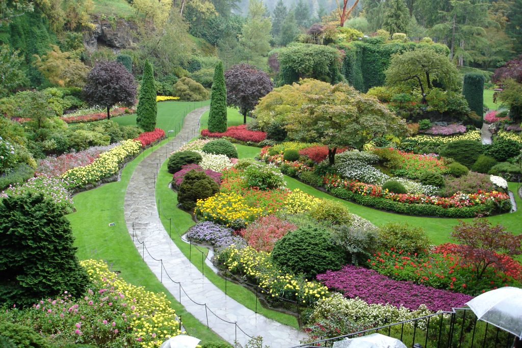 Jardim Encantador com Flores Coloridas e Paisagismo Moderno – Inspiração para Seu Jardim dos Sonhos