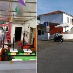 serper image 980 1773631587